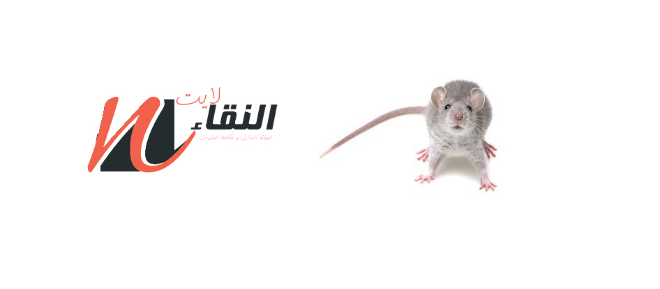 شركة مكافحة حشرات بابها