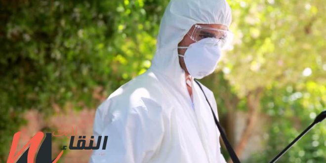 شركة مكافحة حشرات بخميس مشيط