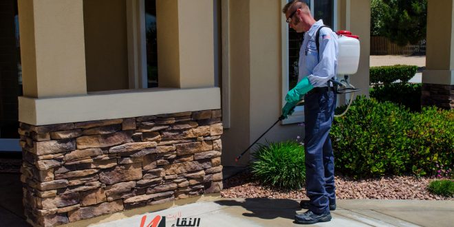 شركة رش مبيدات بالطائف