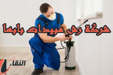 شركة كشف تسربات المياه بابها 0532512542