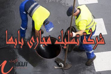 شركة مكافحة حشرات بالطائف