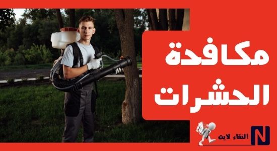 رش مبيدات بالدمام