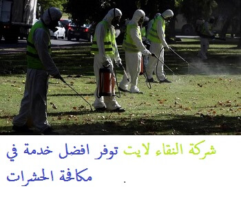 شركة مكافحة حشرات بالدمام