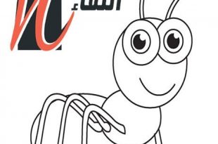 الذباب المنزلي