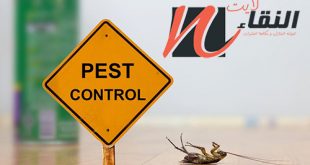 شركة رش مبيدات بجازان