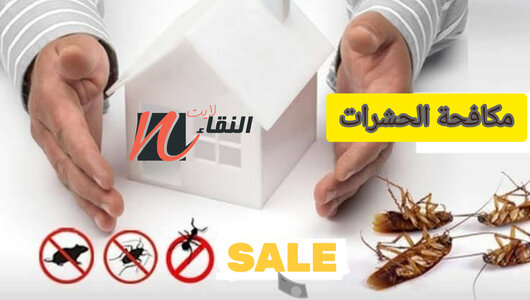 مكافحة حشرات الكويت 