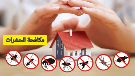 شركة مكافحة حشرات بالكويت
